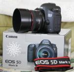 Canon EOS 5D Mark III with EF 24-105mm IS len
